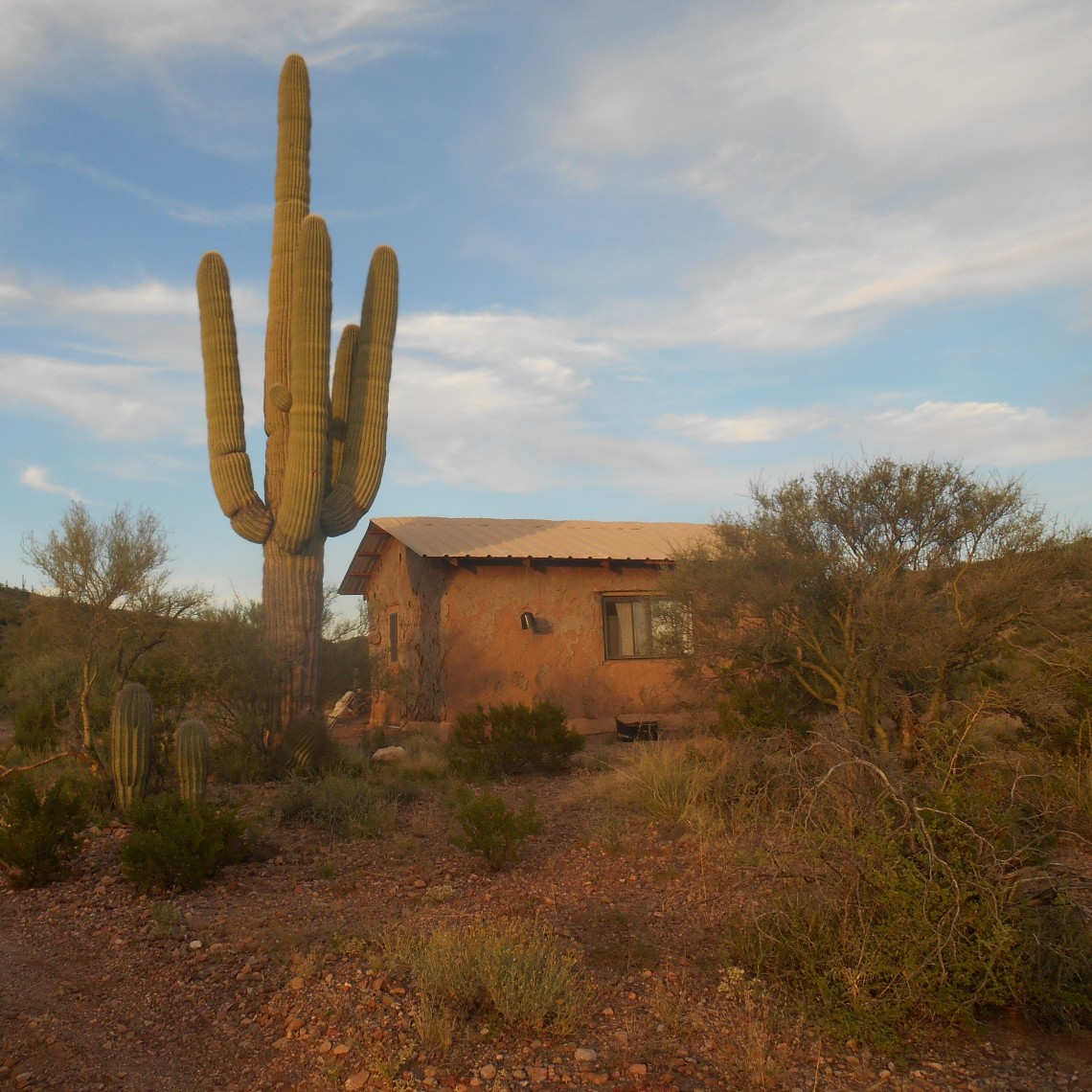 5_strawbale cabin, sonoran desert_photo by william atkins