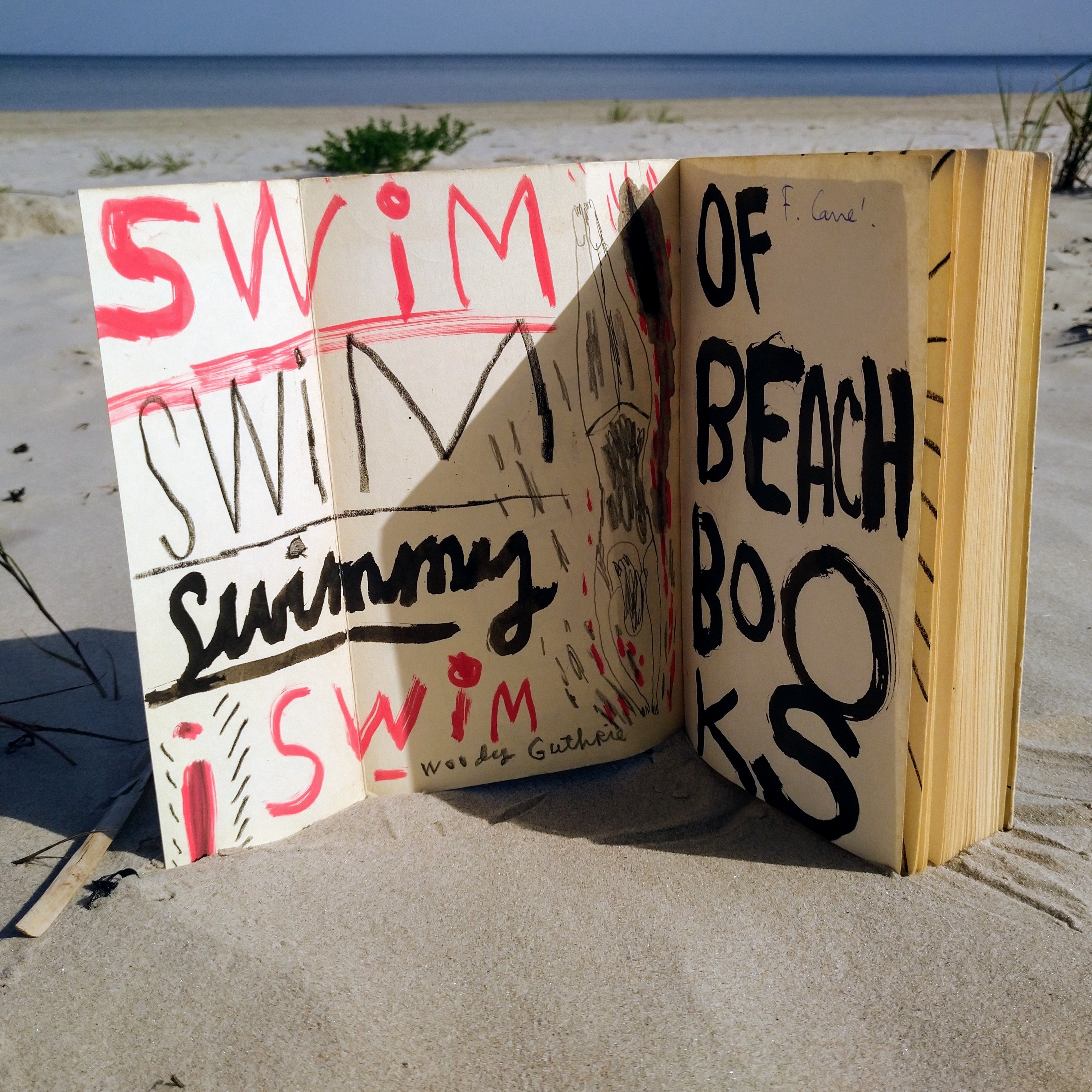 Inside cover of "Les Mots" by Jean Paul Sartre, painted by Jonny Hannah. Gift to the Sea Library. Photo: Beach Books